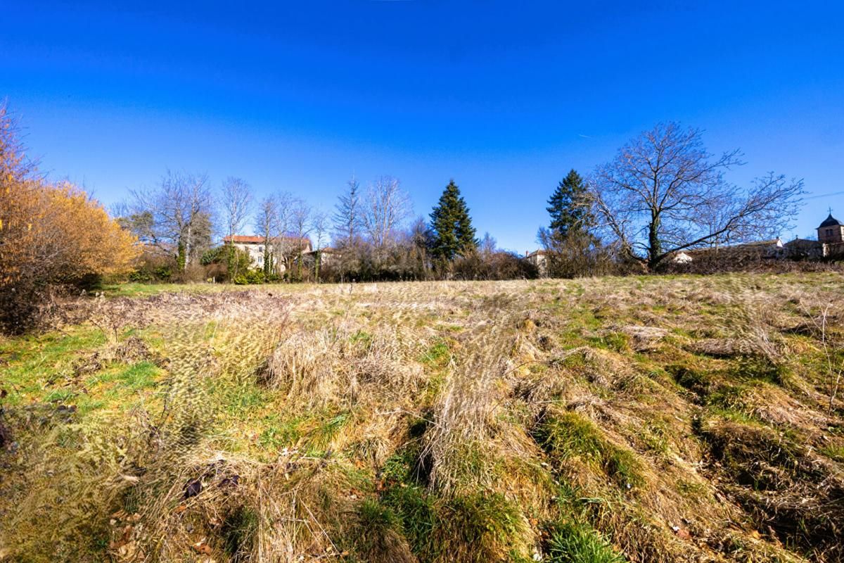 SAINTE-AGATHE-EN-DONZY Terrain Sainte Agathe En Donzy 1254 m2 1