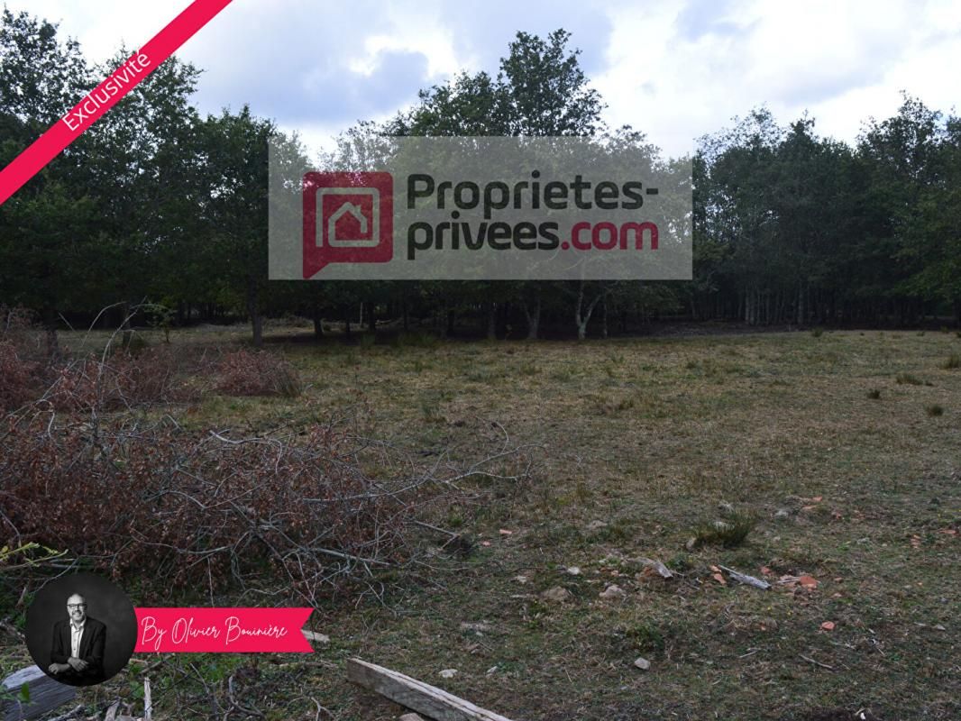 SAINTE-REINE-DE-BRETAGNE Terrain boisé de 30 000 m² 3