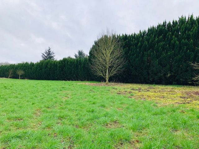 ROYE Terrain Viabilisé - 1200 m2 2