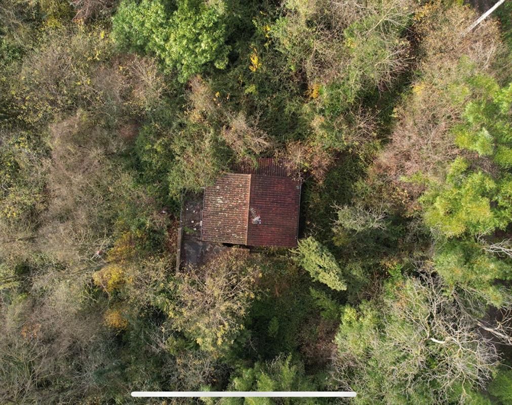 SAINT-MAURICE-DE-BEYNOST Maison de jardin Saint Maurice De Beynost 71 m2 3