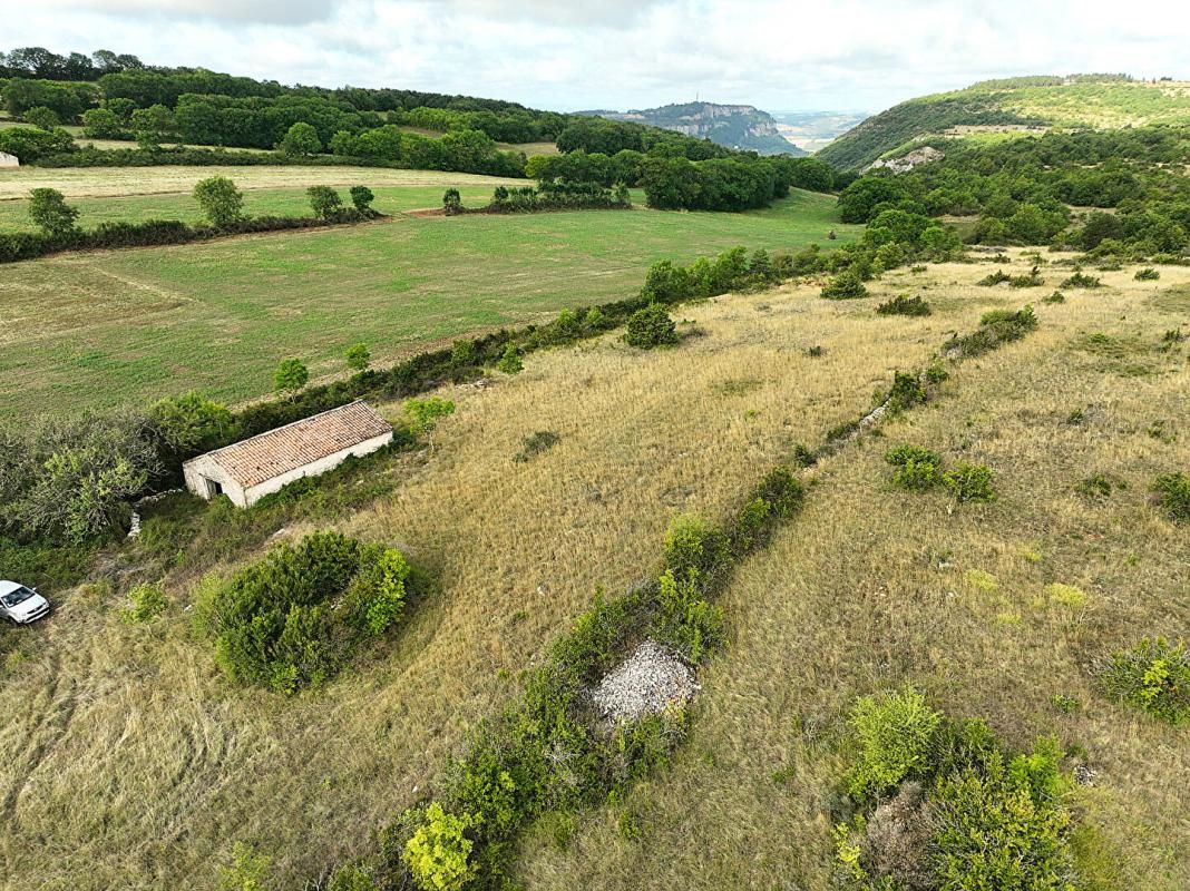 TOURNEMIRE Terrain agricole de 23000 m2 avec Grange 2