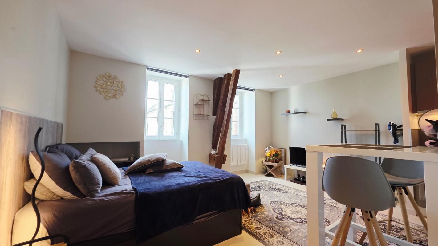 BOURGES BOURGES CENTRE APPARTEMENT STUDIO T1 30.8M² RENOVÉE 1