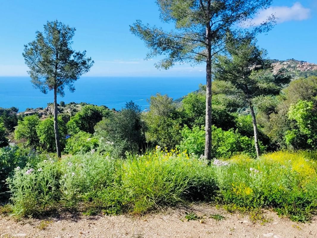 LA TURBIE Terrain(s) constructible(s) pleine vue mer au calme, La Turbie 1500m2 proche Monaco 1