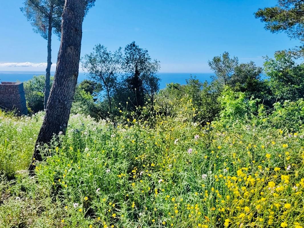 LA TURBIE Terrain(s) constructible(s) pleine vue mer au calme, La Turbie 1500m2 proche Monaco 2