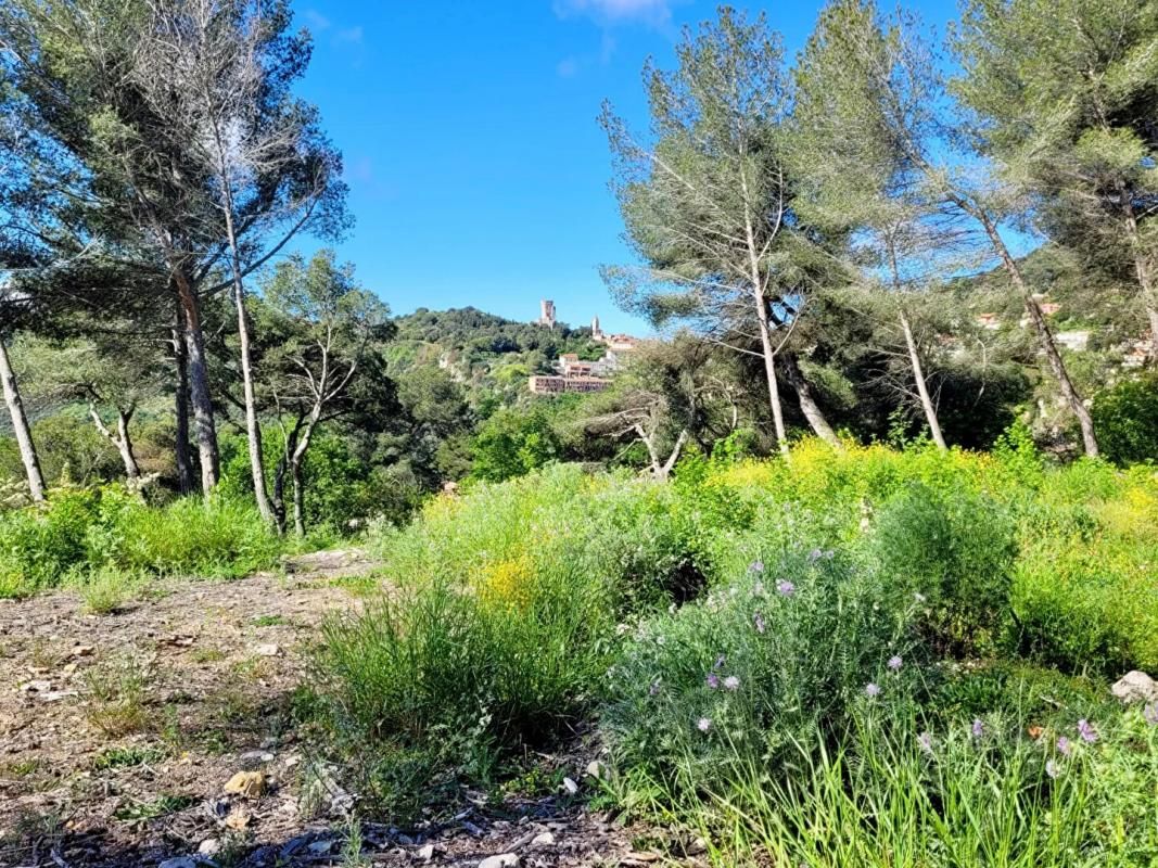 LA TURBIE Terrain(s) constructible(s) pleine vue mer au calme, La Turbie 1500m2 proche Monaco 3