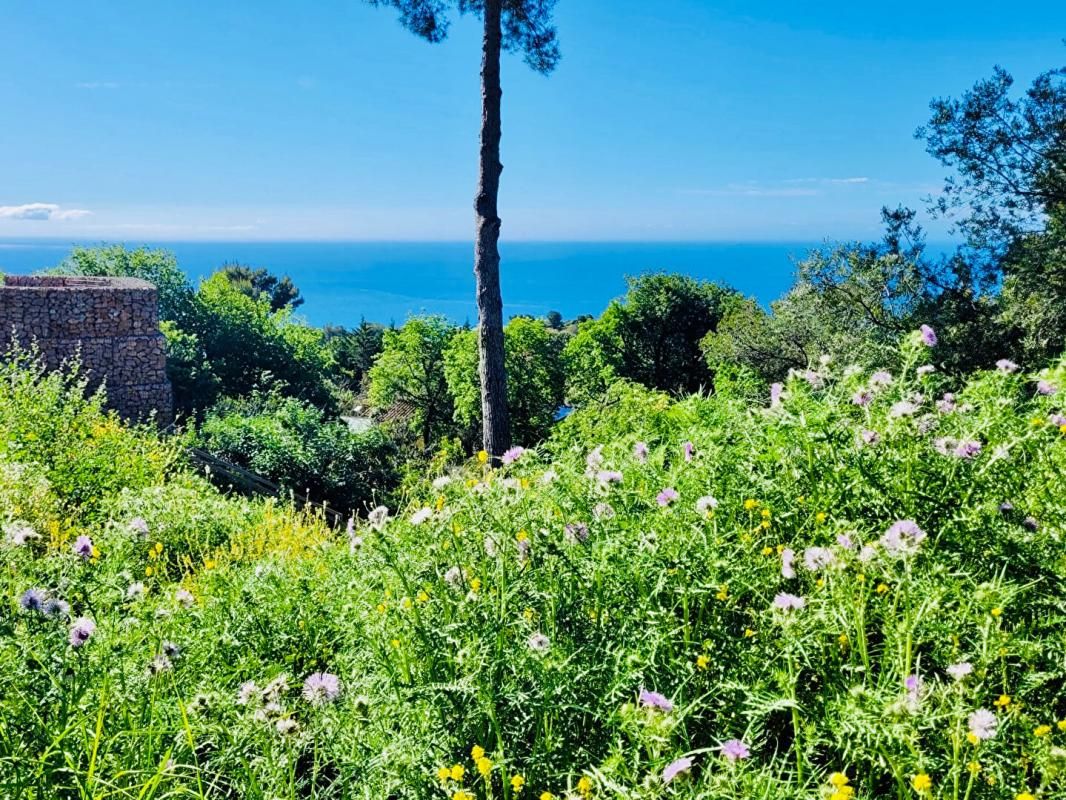 LA TURBIE Terrain(s) constructible(s) pleine vue mer au calme, La Turbie 1500m2 proche Monaco 4