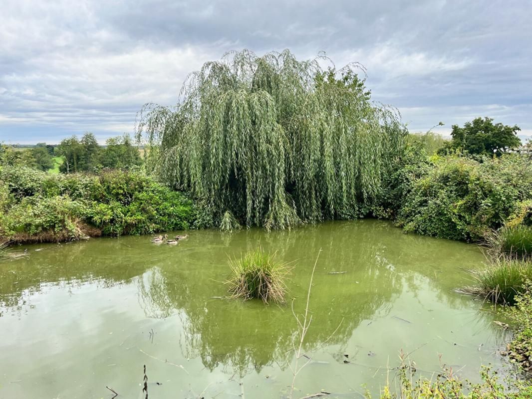 YZEURE Maison 154 m2 + Atelier 70 m2 + Terrain 5000 m2 2