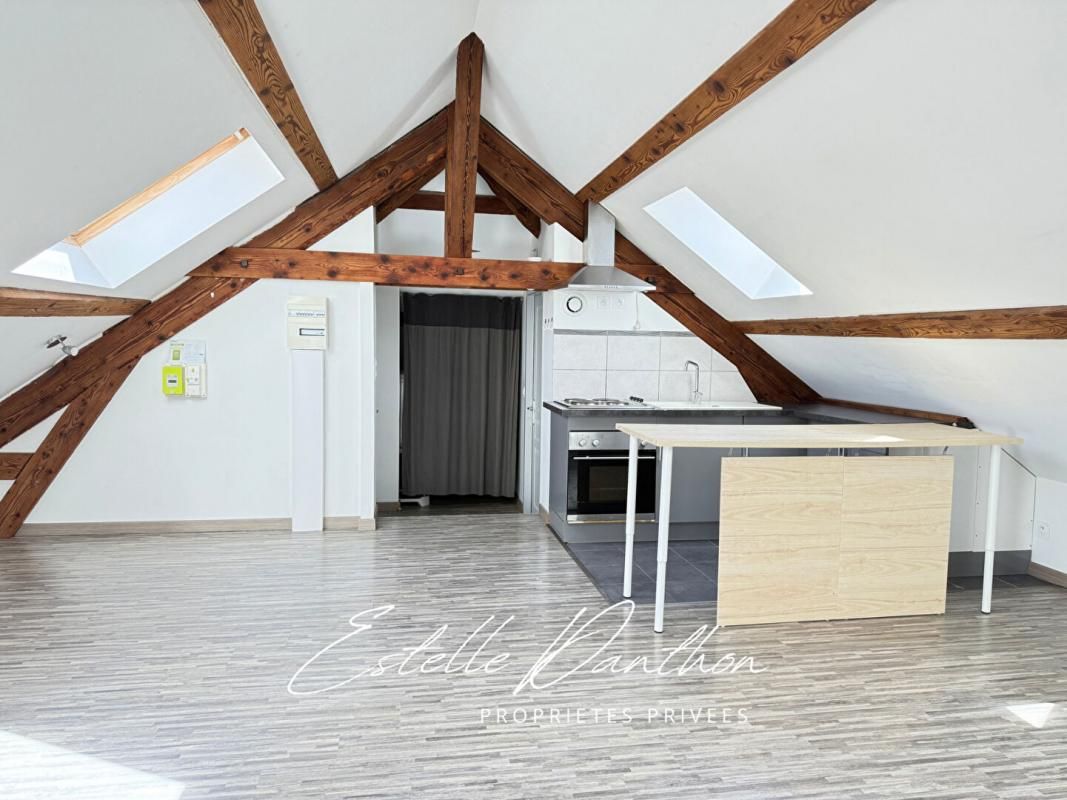 CHARAVINES Appartement T1bis à Charavines 4