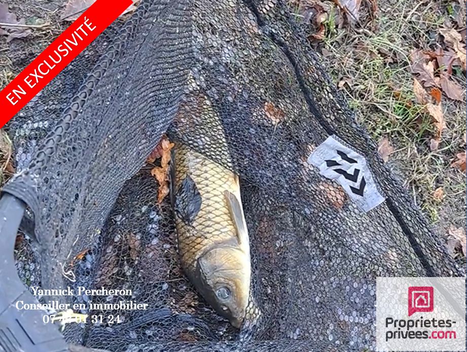 NOYANT ETANG sur terrain de  5 000M² 3