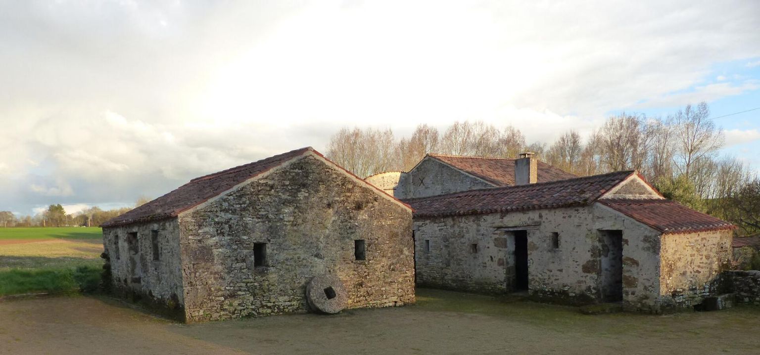 MARSAIS-SAINTE-RADEGONDE Demeure de prestige Marsais Sainte Radegonde 10 pièce(s) 259 m2 3