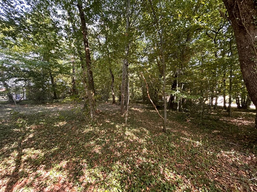 MARSAC-SUR-L'ISLE A vendre, terrain à bâtir sur les hauteurs de MARSAC-SUR-L'ISLE 24430 1