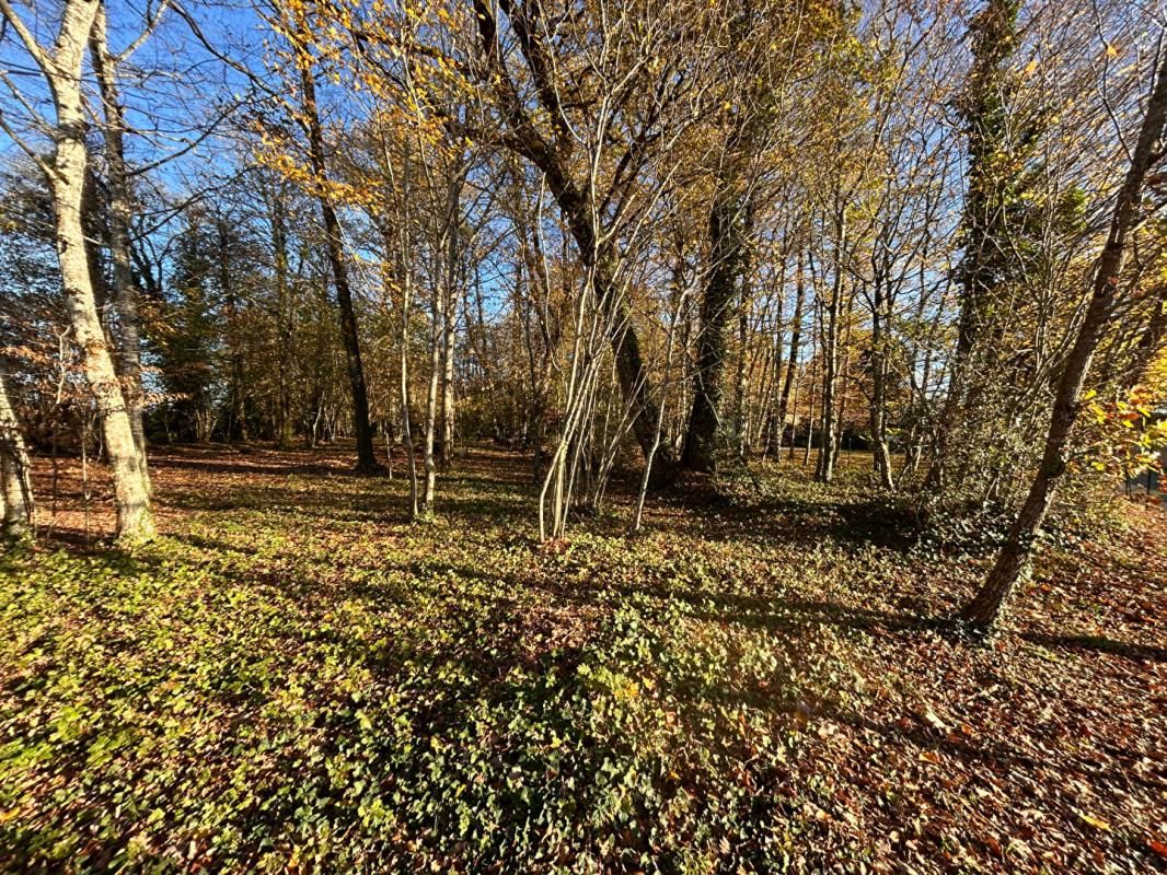 MARSAC-SUR-L'ISLE A vendre, terrain à bâtir sur les hauteurs de MARSAC-SUR-L'ISLE 24430 2