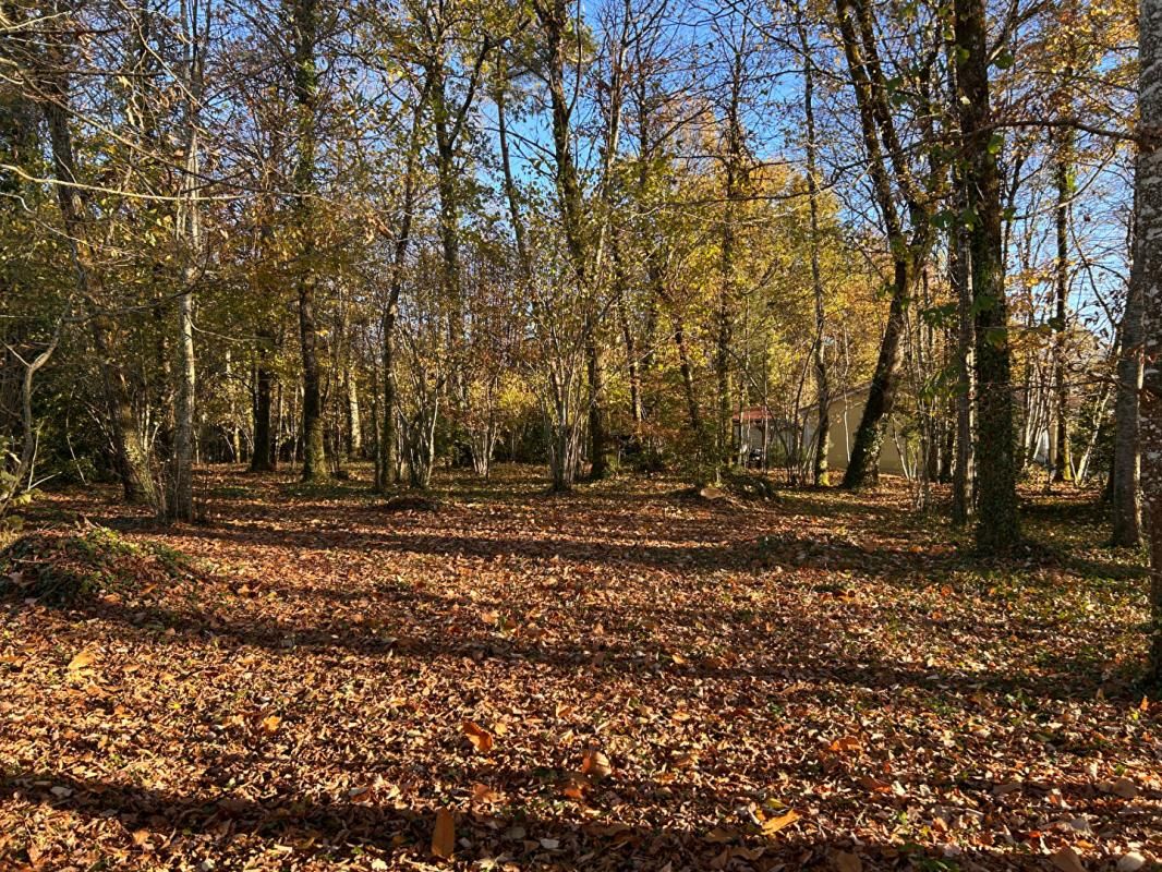 MARSAC-SUR-L'ISLE A vendre, terrain à bâtir sur les hauteurs de MARSAC-SUR-L'ISLE 24430 3