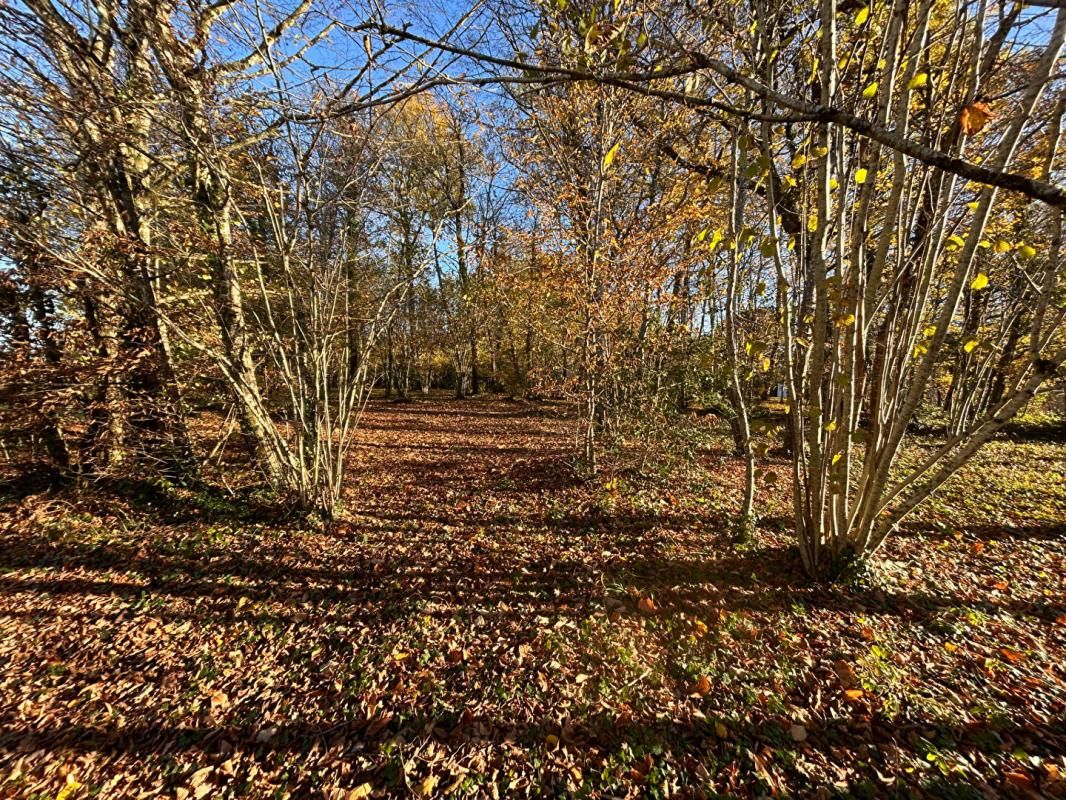 MARSAC-SUR-L'ISLE A vendre, terrain à bâtir sur les hauteurs de MARSAC-SUR-L'ISLE 24430 4