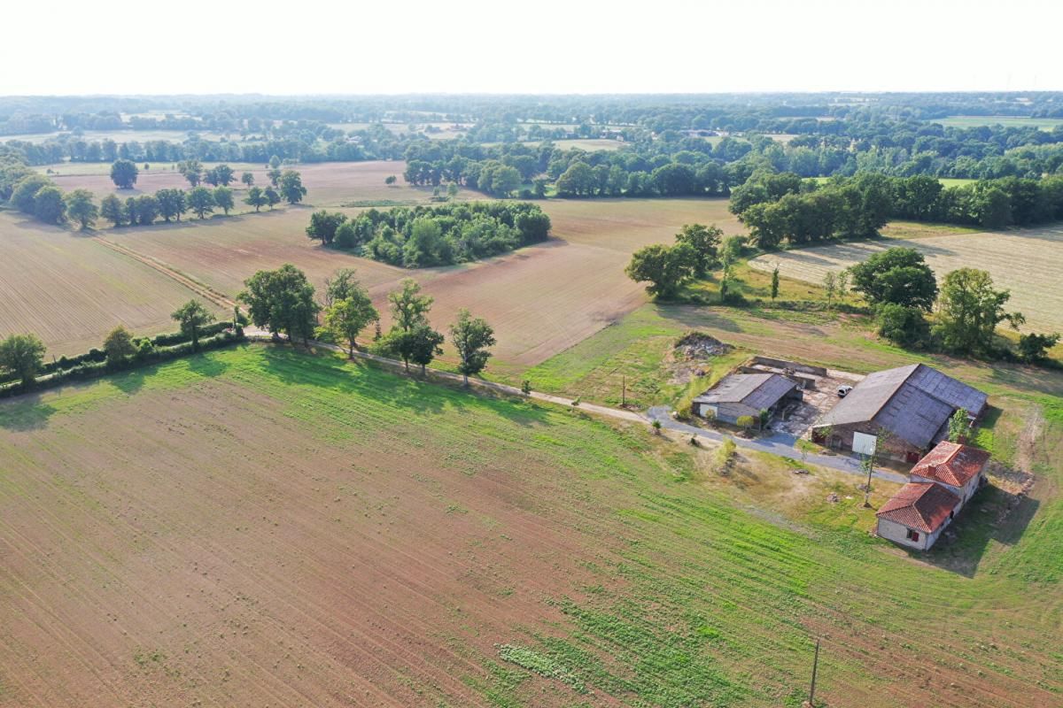 ASNIERES-SUR-BLOUR Propriété Agricole  6,5 Hectares 3