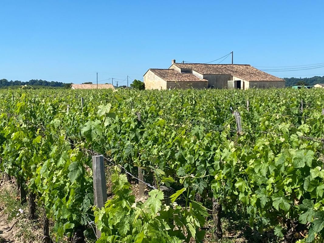 SAINT-EMILION Excellence à Saint-Émilion : Domaine viticole prestigieux avec résidence d'exception 1