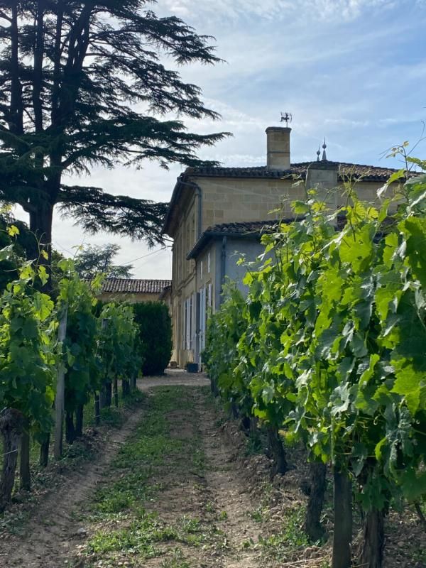 SAINT-EMILION Excellence à Saint-Émilion : Domaine viticole prestigieux avec résidence d'exception 3