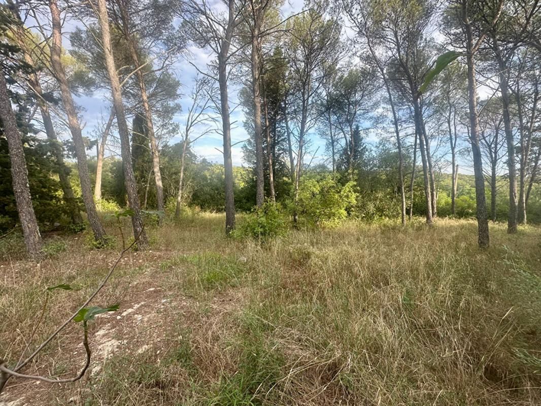 MONTPELLIER Terrain constructible 1041 m2 2