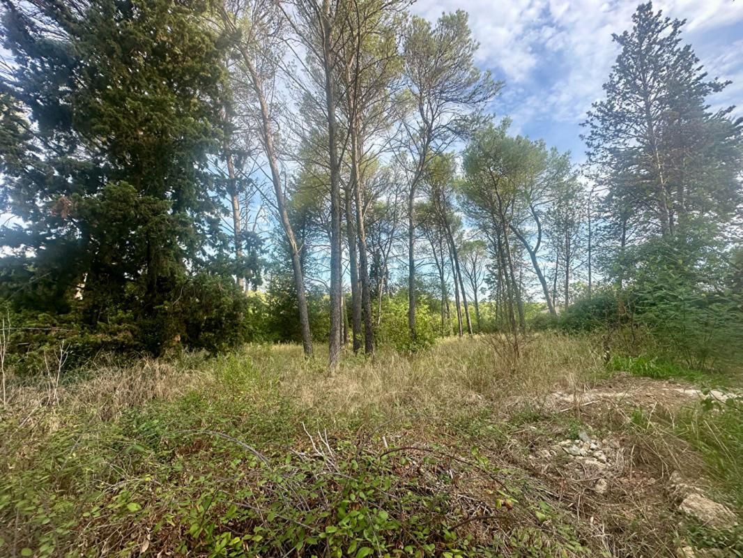 MONTPELLIER Terrain constructible 1041 m2 3