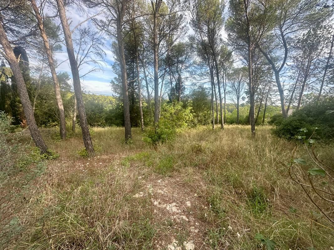 MONTPELLIER Terrain constructible 1041 m2 4