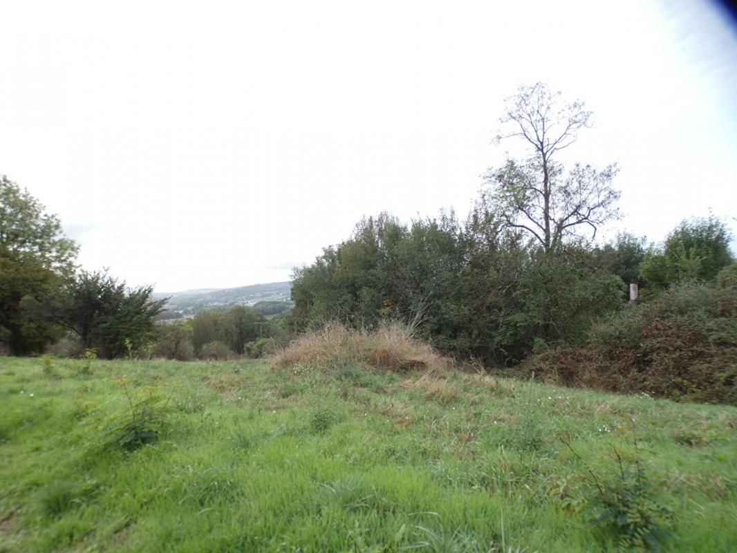 USSAC Terrain sur la commune d'Ussac 2471 m2 4