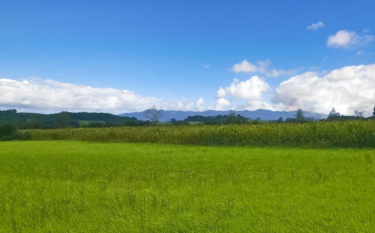 BIDACHE Terrain constructible 11000 m2 2