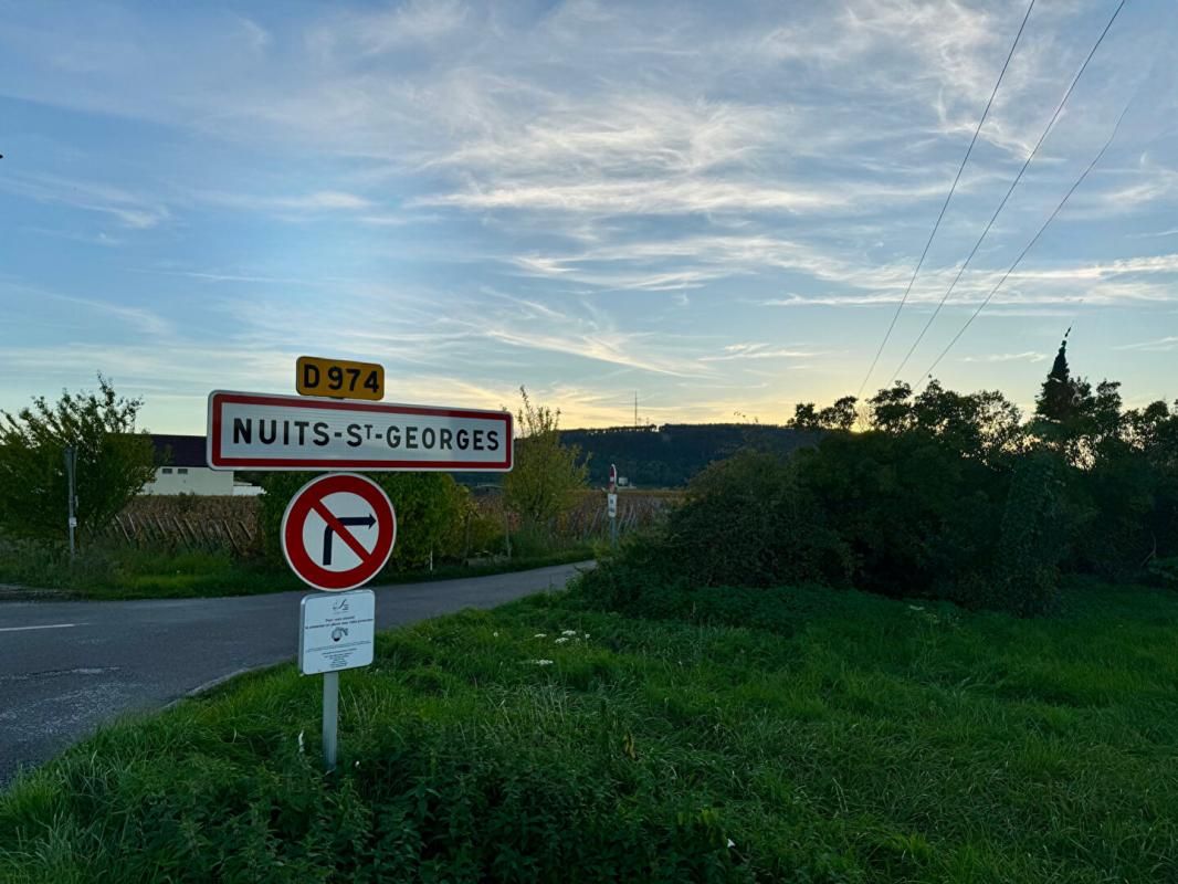 NUITS-SAINT-GEORGES Immeuble Nuits Saint Georges 420 m2 2