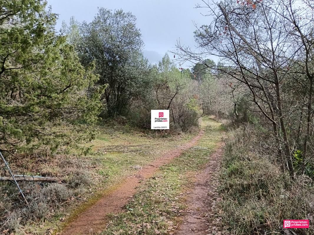 SAINT-PAUL-EN-FORET EXCLUSIVITE A vendre terrain de 5514 m2 dans le Var 2