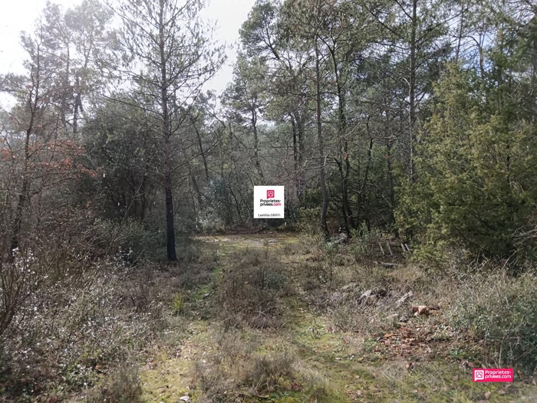 SAINT-PAUL-EN-FORET EXCLUSIVITE A vendre terrain de 5514 m2 dans le Var 3