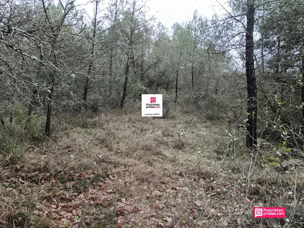 SAINT-PAUL-EN-FORET EXCLUSIVITE A vendre terrain de 5514 m2 dans le Var 4