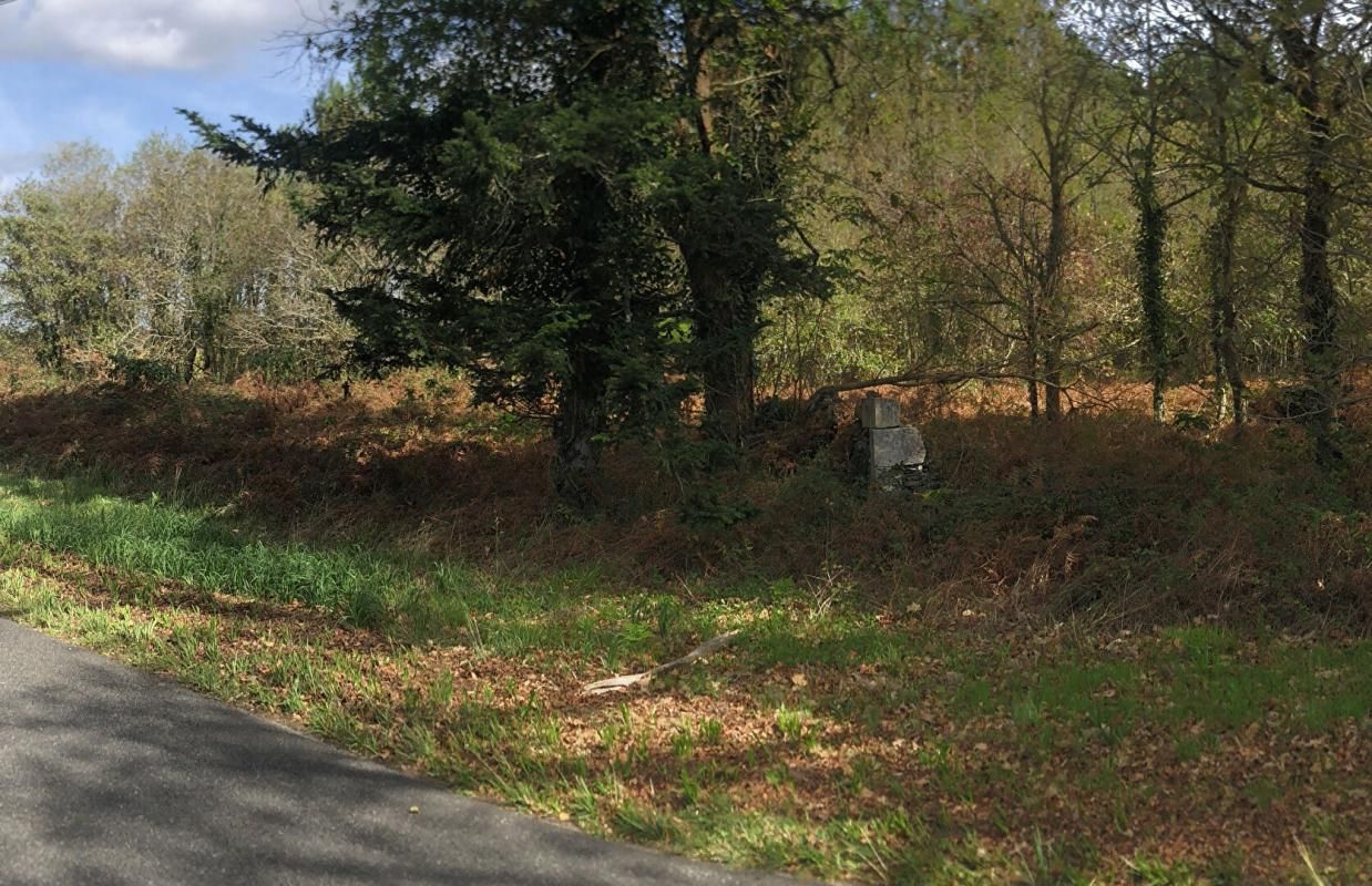 HERM Terrain 8438m2, semi forestier, de loisirs, proche de DAX 1