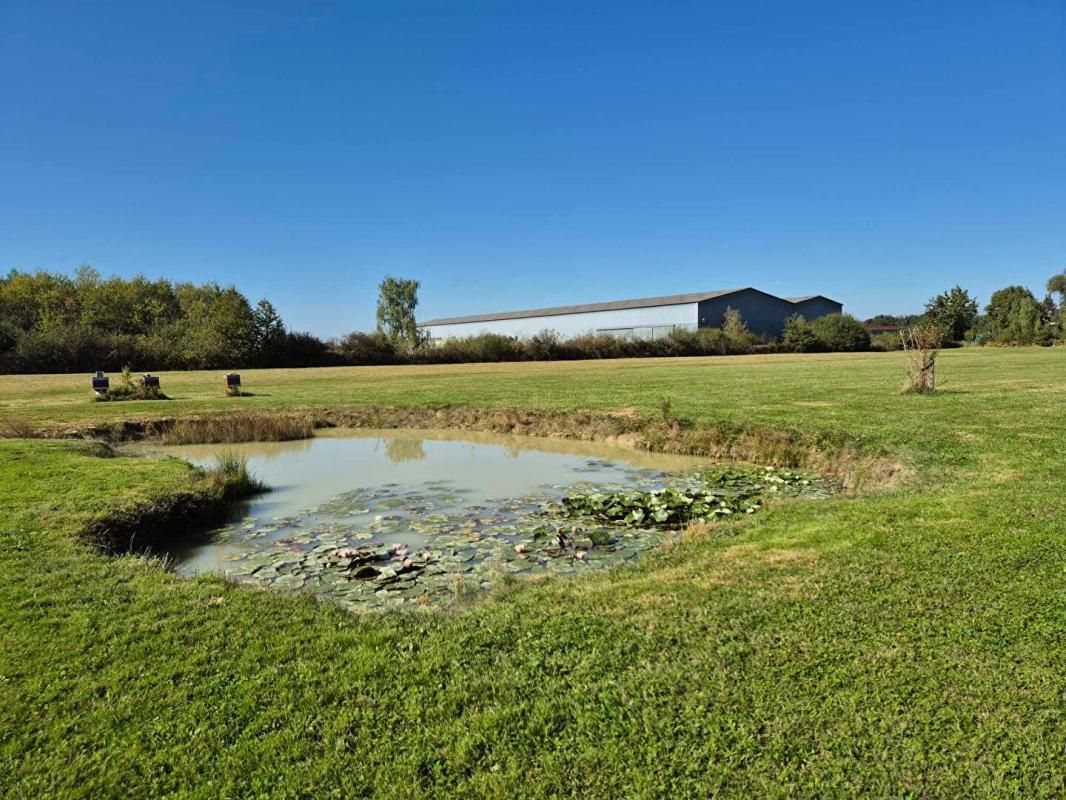 BRANGES Entrepôt à usage d'élevage canin et habitation de 250m2 2