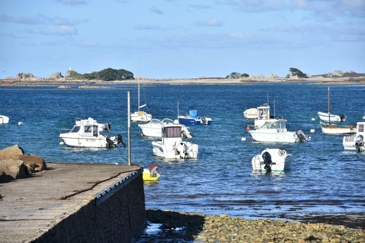 TREVOU-TREGUIGNEC 2 Maisons indépendantes à Trevou Treguignec 4