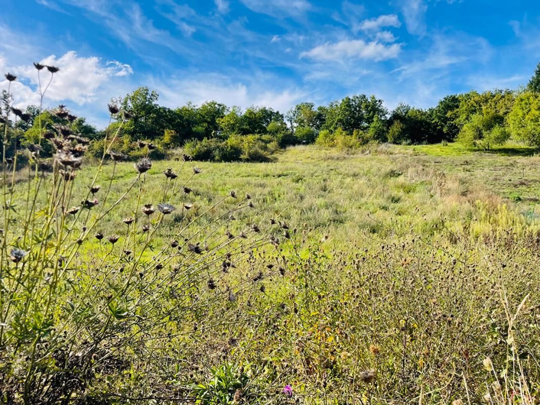 NOGENT-LE-ROI Terrain Nogent Le Roi 945 m2 1