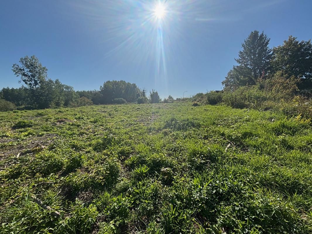ORTILLON Terrain 5500 m2 1