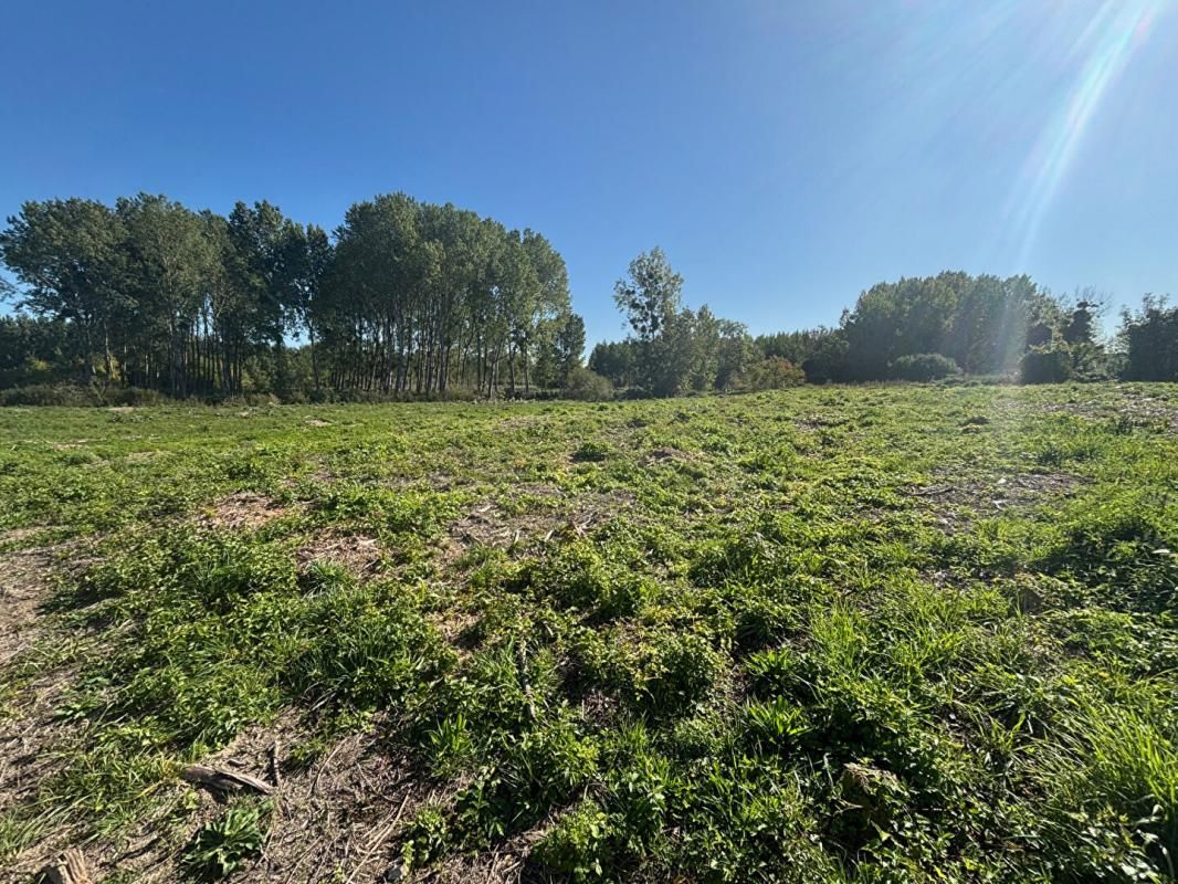 ORTILLON Terrain 5500 m2 2