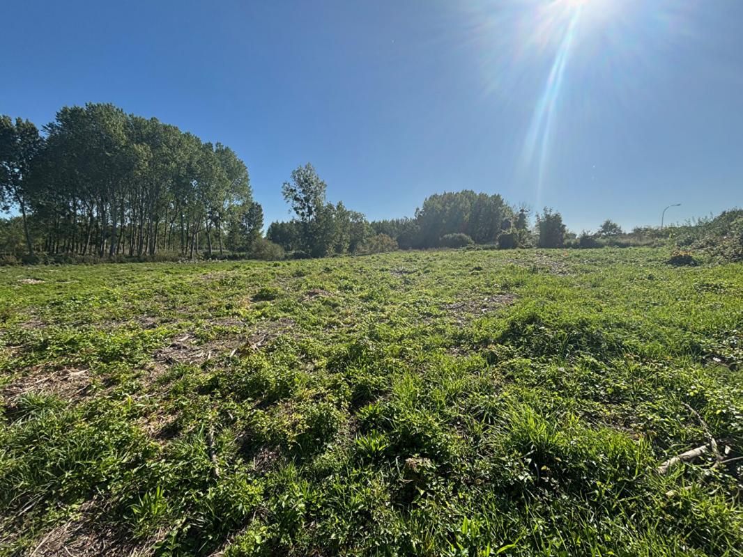 ORTILLON Terrain 5500 m2 3