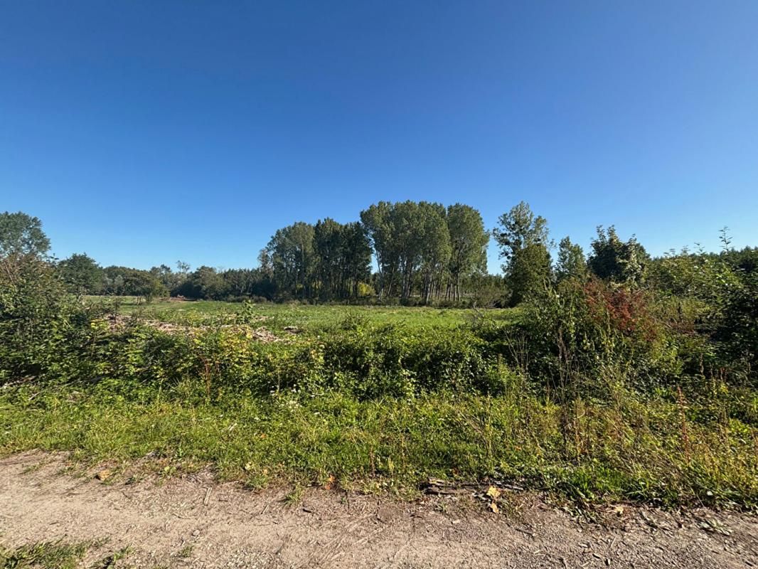 ORTILLON Terrain 5500 m2 4
