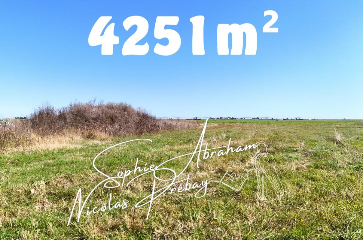 CROTTES-EN-PITHIVERAIS Grand Terrain constructible de 4251m² à la campagne 1