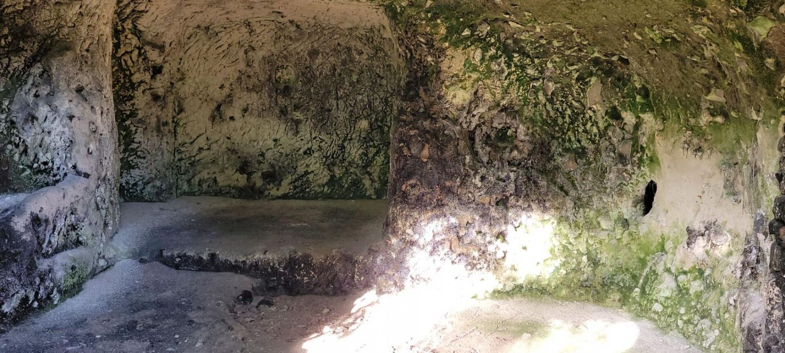 LES ROCHES-L'EVEQUE ENSEMBLE DE CAVES ET TERRAINS 3