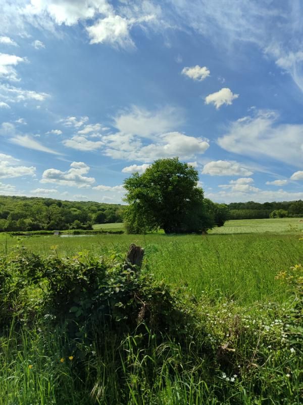 ROUY Terrain constructible à ROUY 1