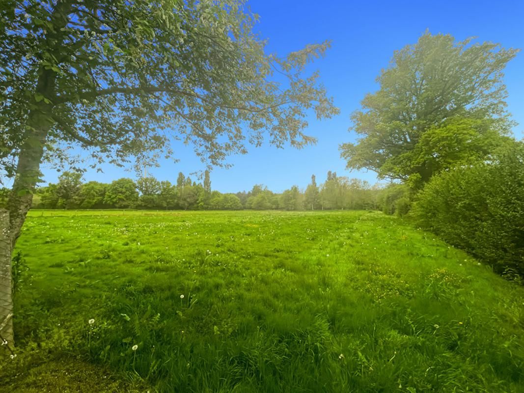 SAINT-CHARTIER Longére de 250m2 avec 1 hectare de terrain au coeur de la campagne berrichonne 4