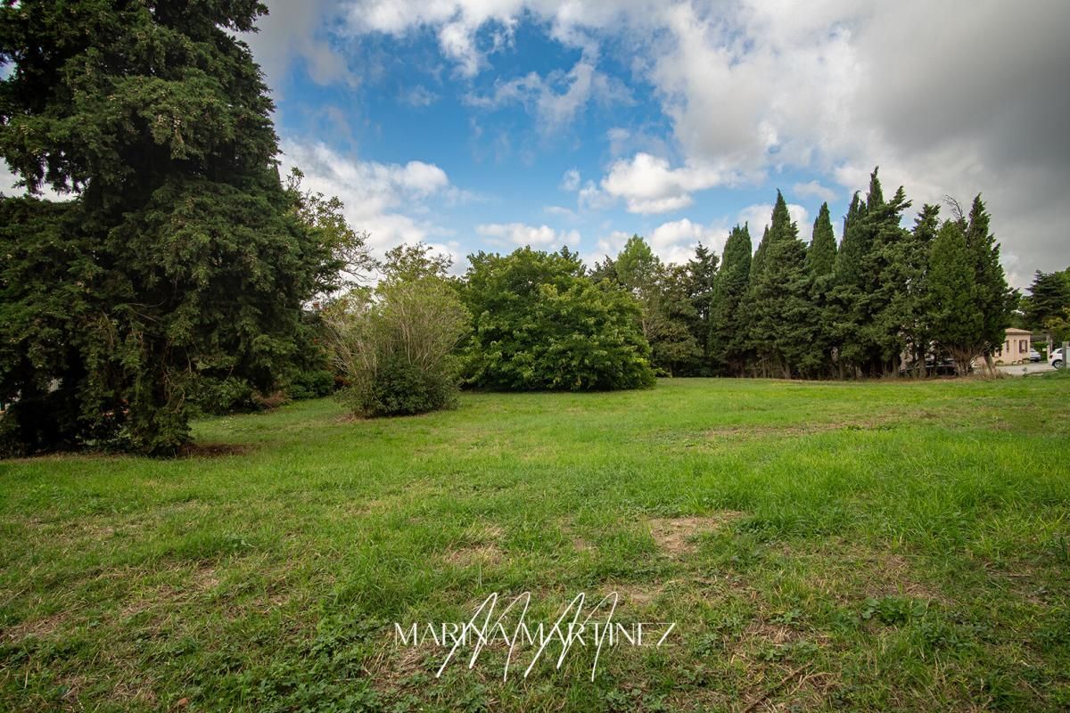 Grand terrain arboré de plus 1 300 m² à proximité de Castelnaudary
