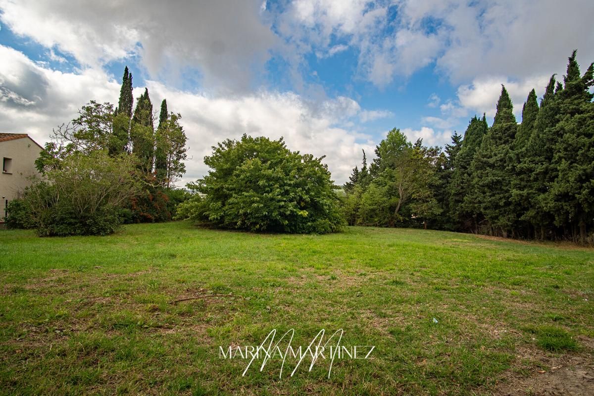CASTELNAUDARY Grand terrain arboré de plus 1 300 m² à proximité de Castelnaudary 3