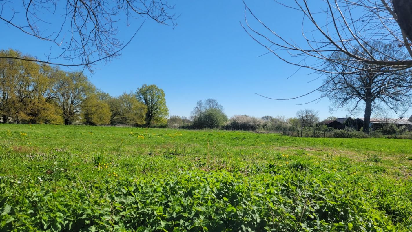 Terrain Ecuille 660 m2