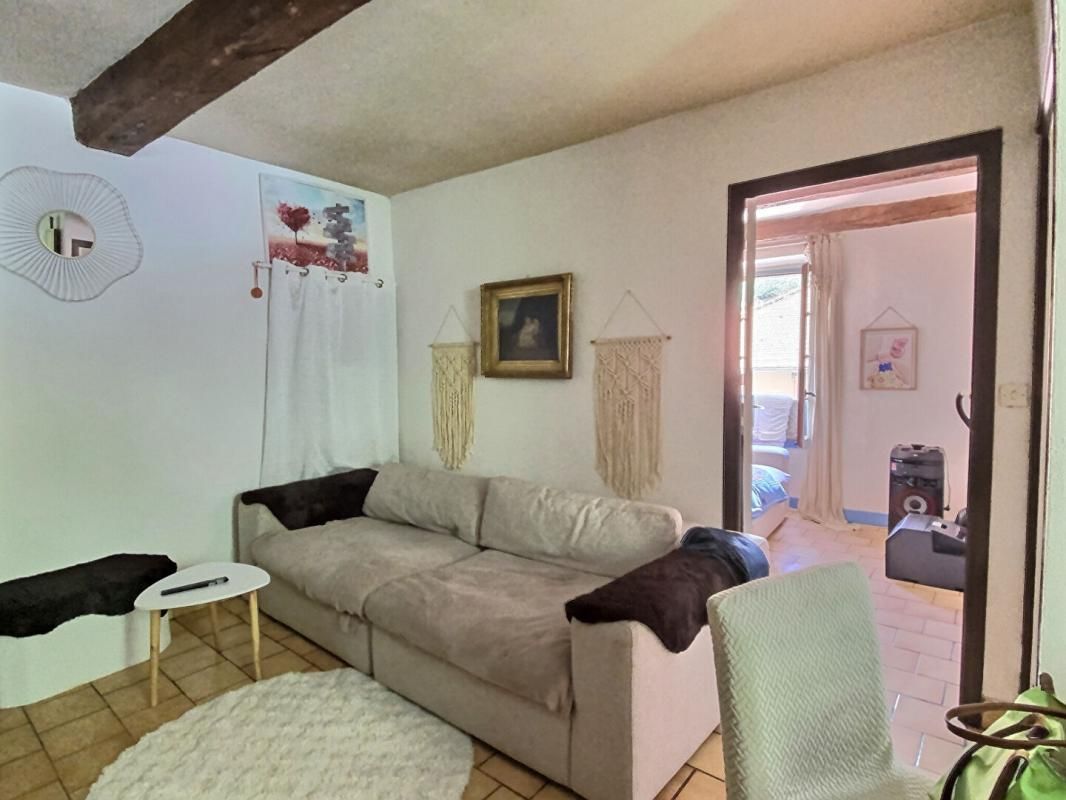 SAINT-SAUVEUR-SUR-TINEE Appartement St Sauveur Sur Tinée 3 pièce(s) 47.8 m2 2