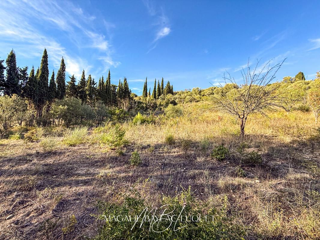 LIMOUX Terrain constructible de 2 347 m² avec vue imprenable ? Limoux 2