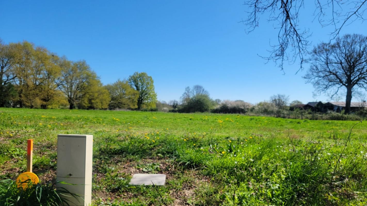 Terrain Feneu 608 m2