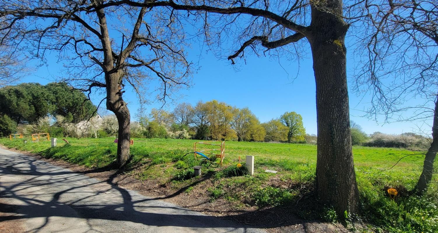 SCEAUX-D'ANJOU Terrain Feneu 608 m2 4