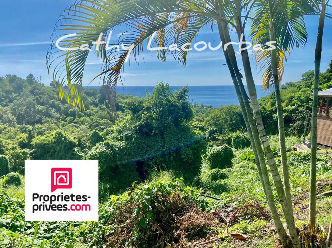 BOUILLANTE URGENT  - Terrain constructible vue mer - Bouillante 7709 m2 2